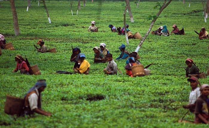 kerala silent valley trek