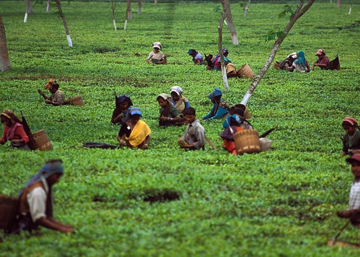 kerala silent valley trek