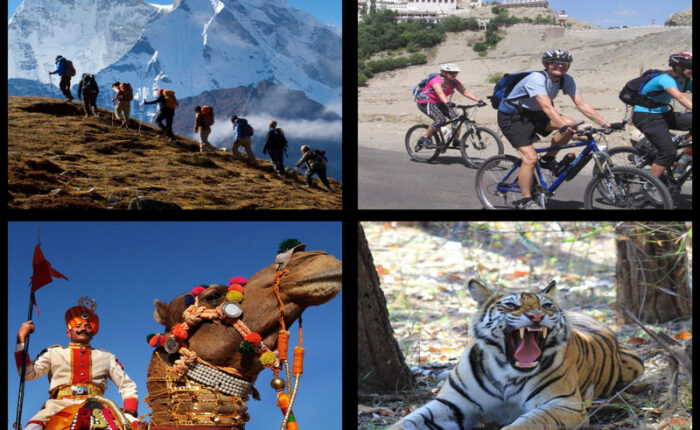 Multi Activity Tours