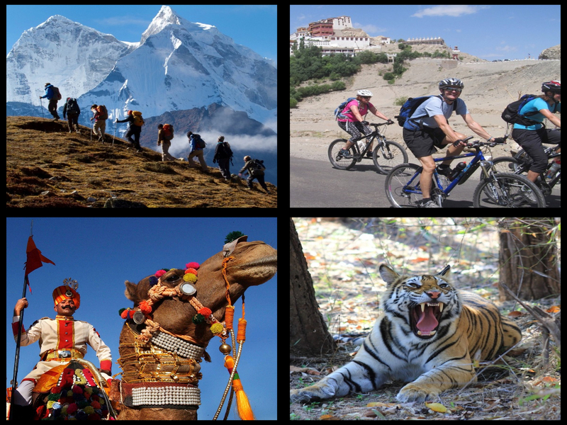 Multi Activity Tours